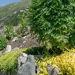Haus Elisabeth * Obergurgl