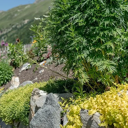 Haus Elisabeth * Obergurgl